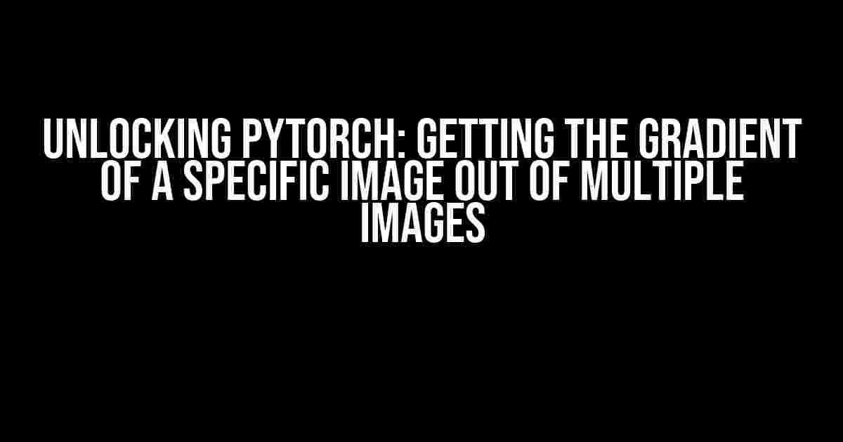 Unlocking PyTorch: Getting the Gradient of a Specific Image out of Multiple Images